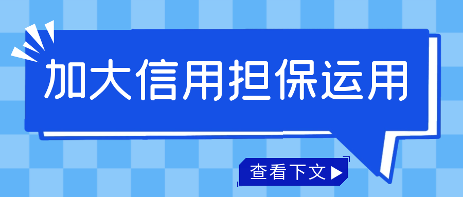 加大信用担保